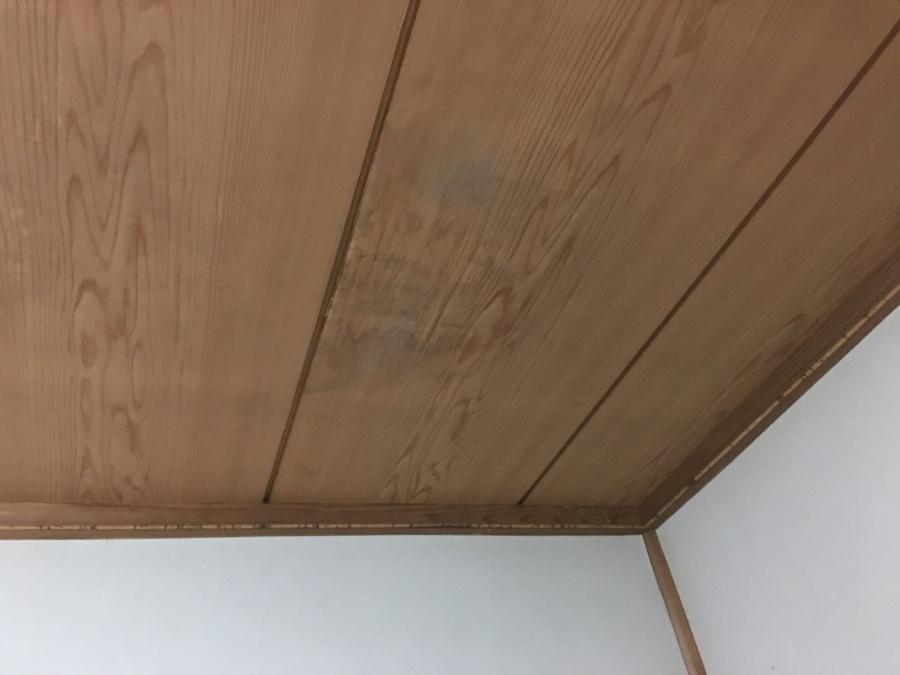 雨漏り箇所